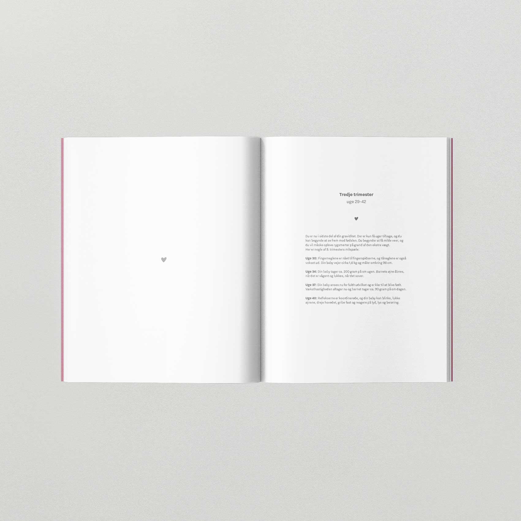 Min graviditetsdagbog A5 hardcover, WithWhite#WITHWHITEBooksBuump