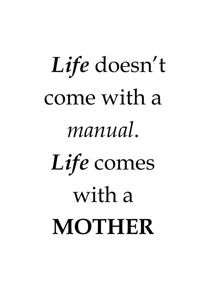 Plakat om graviditet "Life doesn't come with a manual"